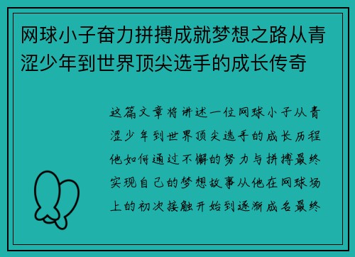 网球小子奋力拼搏成就梦想之路从青涩少年到世界顶尖选手的成长传奇