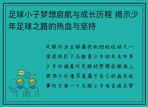 足球小子梦想启航与成长历程 揭示少年足球之路的热血与坚持